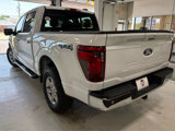 New 2025 Ford F150 XLT w/ Equipment Group 302A MID image 4