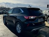 Used 2022 Ford Escape SE w/ Convenience Package image 6
