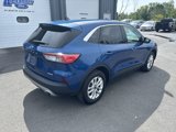 Used 2022 Ford Escape SE image 3