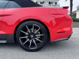 Used 2016 Ford Mustang GT Premium w/ Equipment Group 401A image 6