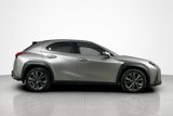 Used 2019 Lexus UX 200 image 6