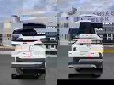 Certified 2021 Ford Escape SE image 4