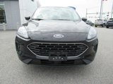 Used 2022 Ford Escape SE w/ SE Sport Appearance Package image 2