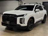 Used 2024 Hyundai Palisade XRT image 3
