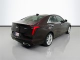 Used 2020 Cadillac CT4 Luxury w/ Cold Weather Package image 4