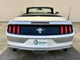 Used 2016 Ford Mustang Convertible w/ Equipment Group 051A image 4