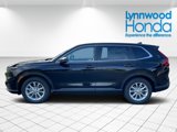 New 2025 Honda CR-V EX-L image 2