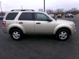 Used 2011 Ford Escape XLT w/ 201A Rapid Spec Order Code image 2