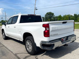 Used 2020 Chevrolet Silverado 1500 LT w/ All-Star Edition image 3