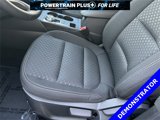 New 2025 Ford Escape Active w/ Tech Pack #1 image 4
