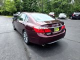 Used 2014 Honda Accord Sport image 5