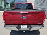 Used 2018 Ford F150 Lariat w/ Equipment Group 502A Luxury image 4