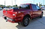 Used 2019 Ford F150 XLT w/ Equipment Group 302A Luxury image 5