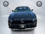 Used 2020 Ford Mustang GT Premium image 2