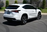 Used 2020 Lexus NX 300h AWD w/ Premium Package image 5