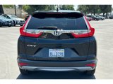 Used 2019 Honda CR-V EX image 4