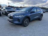 New 2025 Ford Escape SE image 4