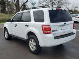 Used 2011 Ford Escape XLT image 2
