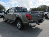New 2024 Ford F150 XLT w/ Equipment Group 302A MID image 5