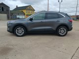 Used 2020 Ford Edge Titanium w/ Equipment Group 301A image 2