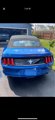 Used 2017 Ford Mustang Convertible w/ Equipment Group 051A image 4