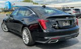 Used 2020 Cadillac CT5 Premium Luxury image 5