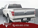 Used 2014 Ford F150 Platinum image 4