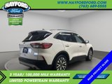 Used 2020 Ford Escape Titanium image 5