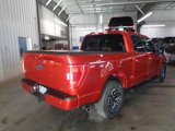 Certified 2023 Ford F150 XLT w/ Equipment Group 302A High image 3