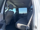 Used 2016 Ford F150 XLT w/ Equipment Group 301A Mid image 6