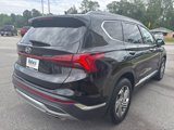 Used 2023 Hyundai Santa Fe SEL w/ Premium Package image 3