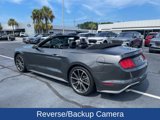 Used 2019 Ford Mustang Premium w/ Equipment Group 201A image 4