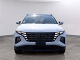 Used 2024 Hyundai Tucson Limited image 2