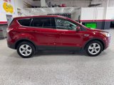 Used 2014 Ford Escape SE image 2