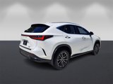Used 2024 Lexus NX 350 AWD w/ Premium Package image 3
