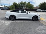 Used 2019 Ford Mustang Premium image 4