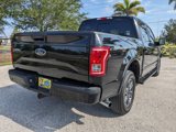 Used 2016 Ford F150 XLT w/ Equipment Group 302A Luxury image 5