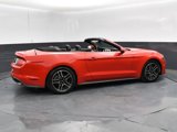 Used 2022 Ford Mustang Premium image 5