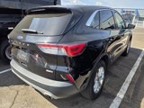 Used 2020 Ford Escape SE image 5