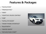 Used 2020 Subaru Outback Premium image 4