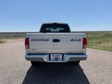 Used 2002 Dodge Dakota SLT image 6