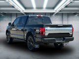 Used 2019 Ford F150 Platinum w/ Equipment Group 701A Luxury image 6