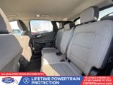 Used 2021 Ford Escape SE w/ SE Sport Appearance Package image 5