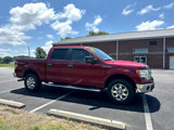 Used 2013 Ford F150 XLT w/ Luxury Equipment Group image 3