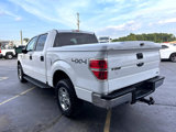 Used 2010 Ford F150 XLT image 6