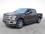 Certified 2019 Ford F150 XLT w/ Equipment Group 302A Luxury image 3