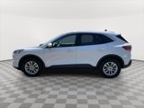 Used 2021 Ford Escape SE w/ Cold Weather Package image 4
