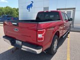 Used 2020 Ford F150 XLT w/ Equipment Group 302A Luxury image 3