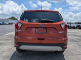 Used 2019 Ford Escape SE image 6