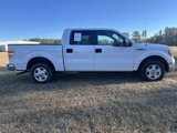 Used 2013 Ford F150 XLT image 4